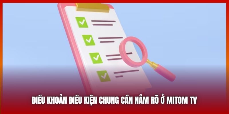 Điều khoản Điều kiện chung cần nắm rõ ở Mitom TV